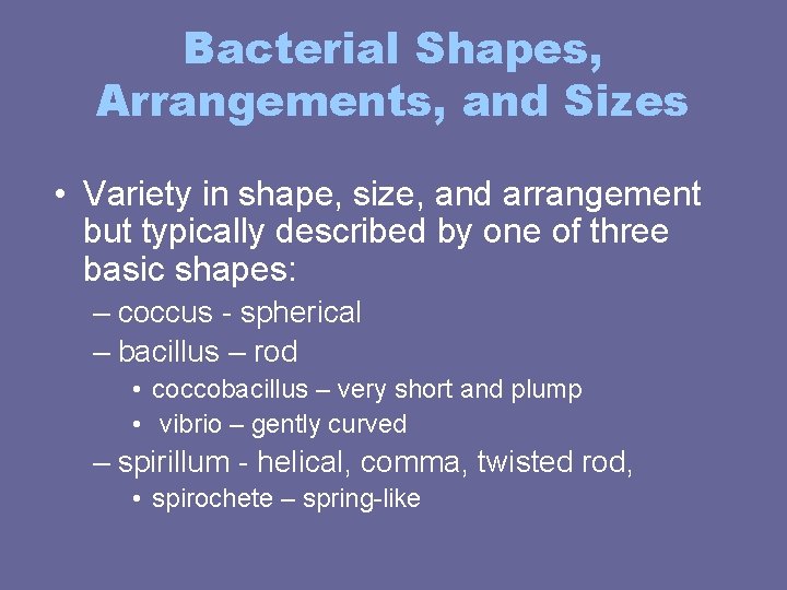 Bacterial Shapes, Arrangements, and Sizes • Variety in shape, size, and arrangement but typically Bacterial Shapes, Arrangements, and Sizes • Variety in shape, size, and arrangement but typically
