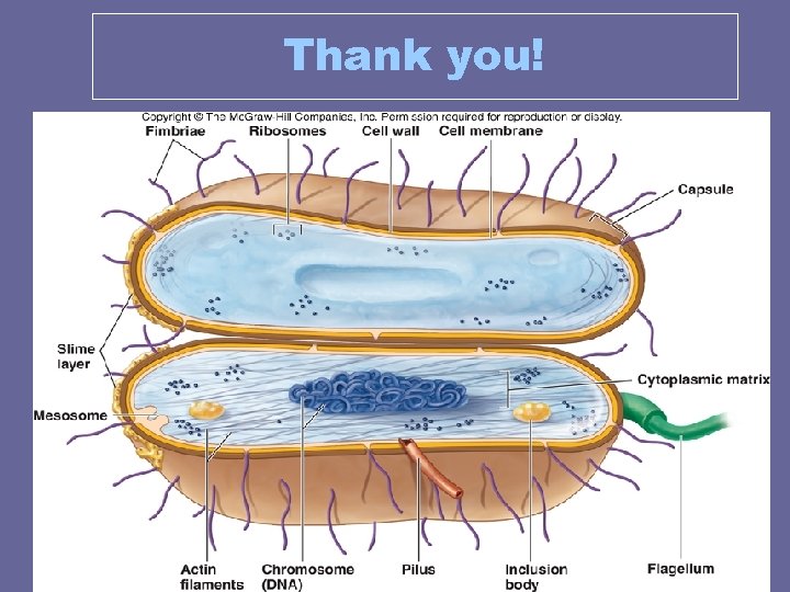 Thank you! Thank you!