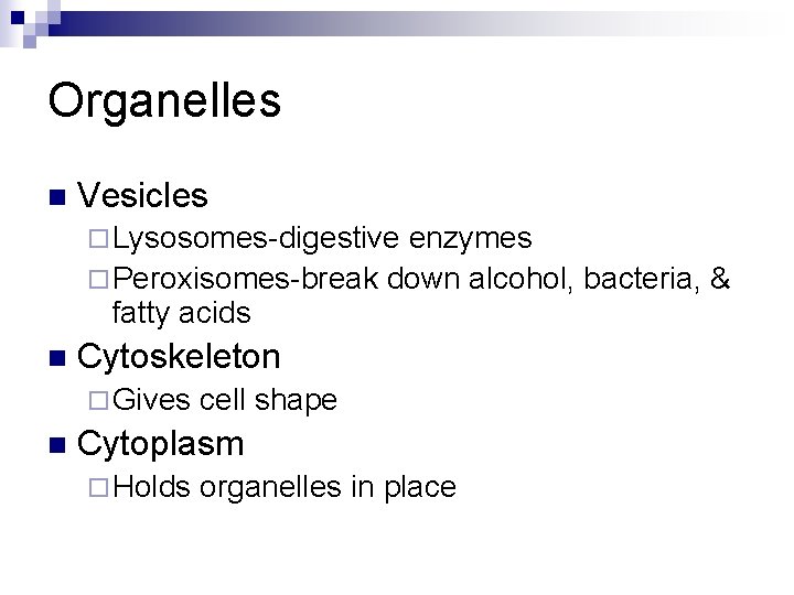 Organelles n Vesicles ¨ Lysosomes-digestive enzymes ¨ Peroxisomes-break down alcohol, bacteria, & fatty acids