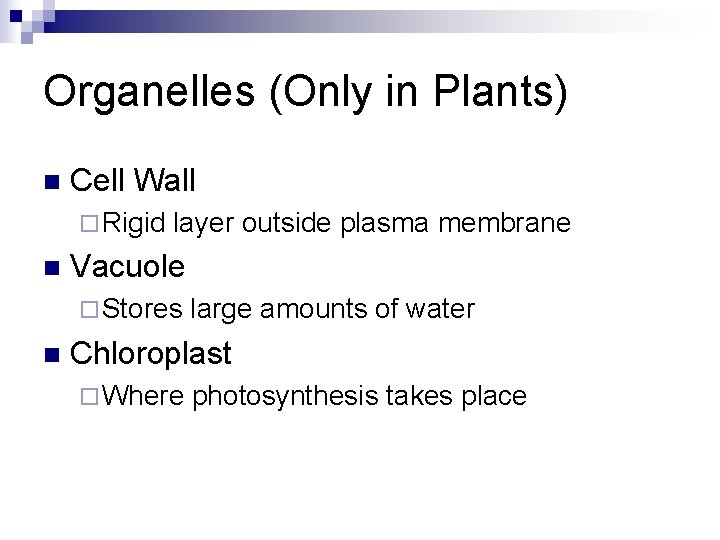 Organelles (Only in Plants) n Cell Wall ¨ Rigid n layer outside plasma membrane