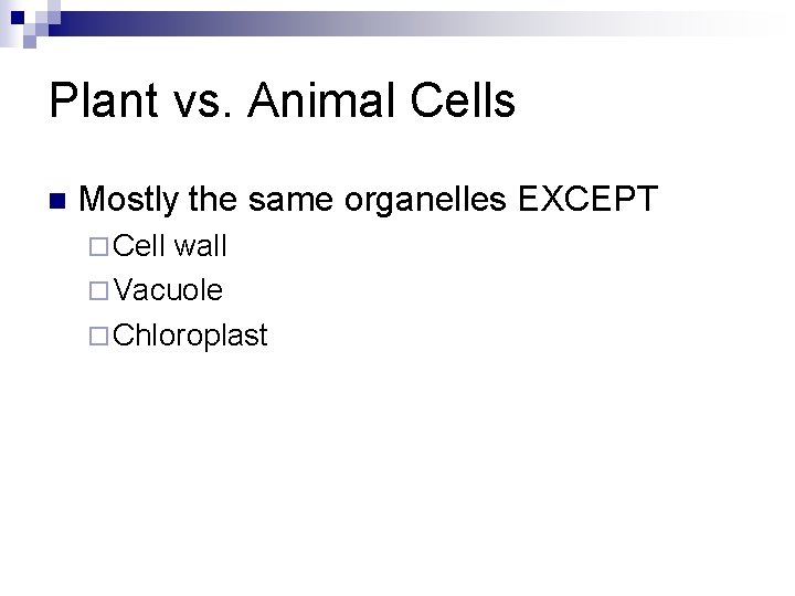 Plant vs. Animal Cells n Mostly the same organelles EXCEPT ¨ Cell wall ¨