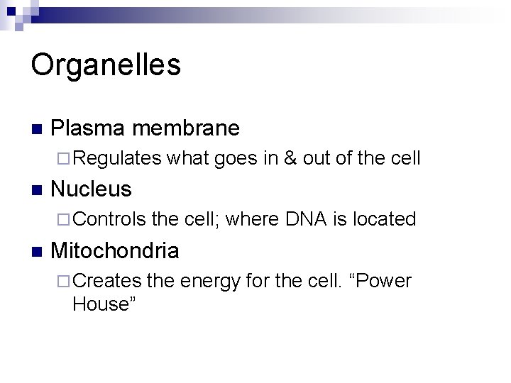 Organelles n Plasma membrane ¨ Regulates n Nucleus ¨ Controls n what goes in