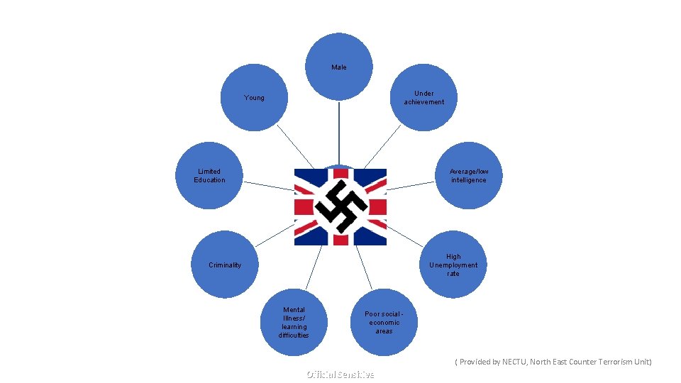 Male Under achievement Young Limited Education Average/low intelligence High Unemployment rate Criminality Mental Illness/