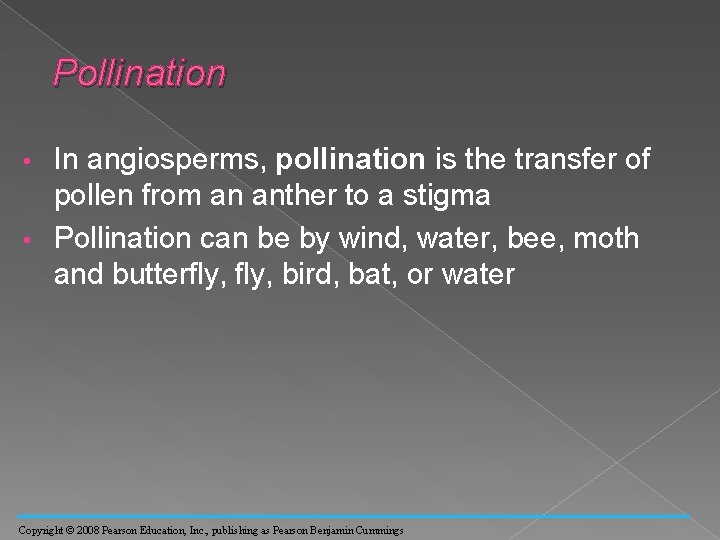 Pollination In angiosperms, pollination is the transfer of pollen from an anther to a