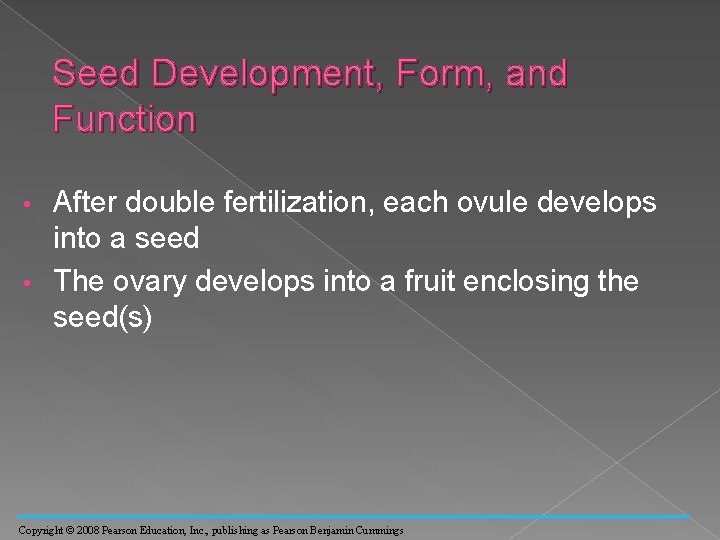 Seed Development, Form, and Function After double fertilization, each ovule develops into a seed