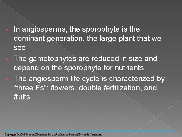 In angiosperms, the sporophyte is the dominant generation, the large plant that we see