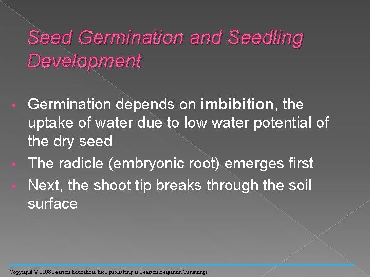 Seed Germination and Seedling Development Germination depends on imbibition, the uptake of water due