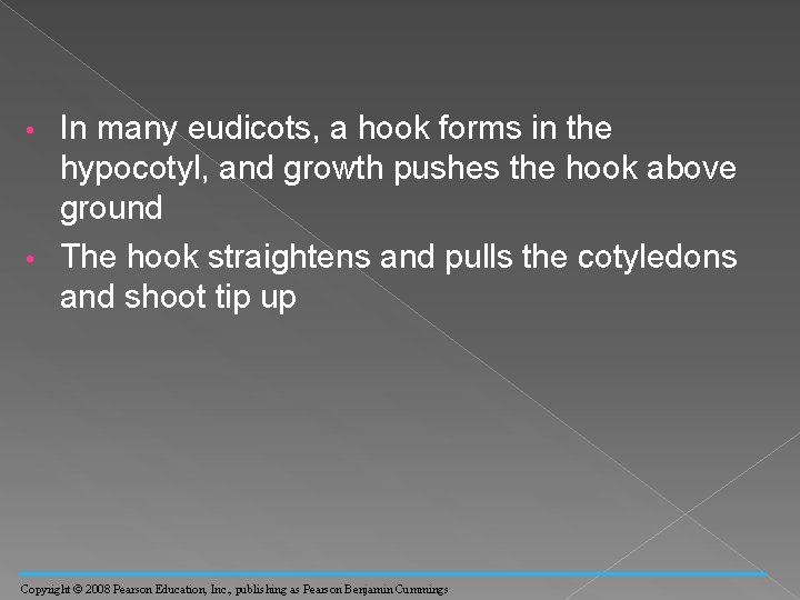 In many eudicots, a hook forms in the hypocotyl, and growth pushes the hook