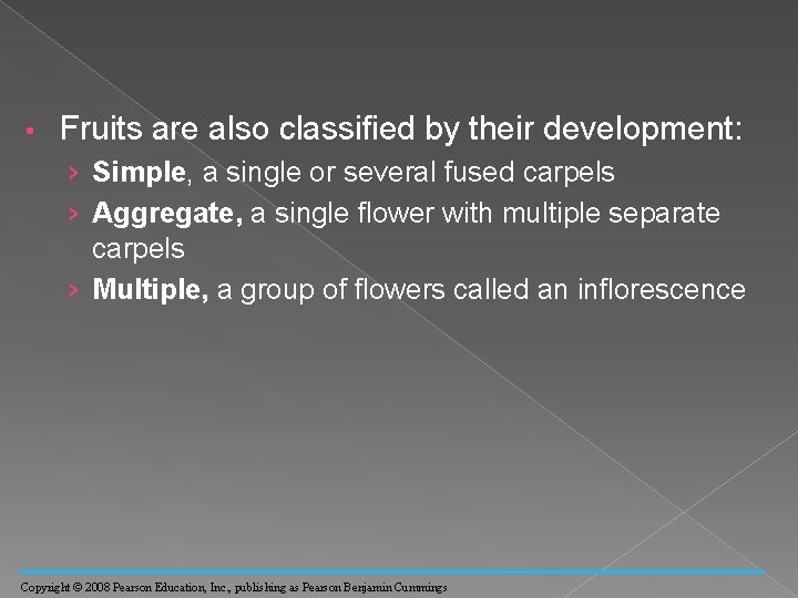  • Fruits are also classified by their development: › Simple, a single or