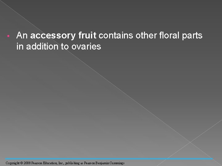  • An accessory fruit contains other floral parts in addition to ovaries Copyright