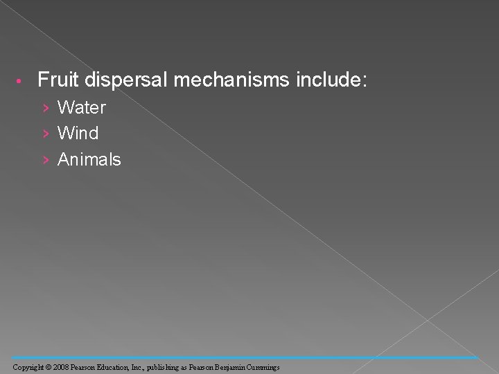  • Fruit dispersal mechanisms include: › Water › Wind › Animals Copyright ©