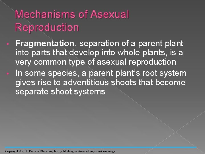 Mechanisms of Asexual Reproduction Fragmentation, separation of a parent plant into parts that develop