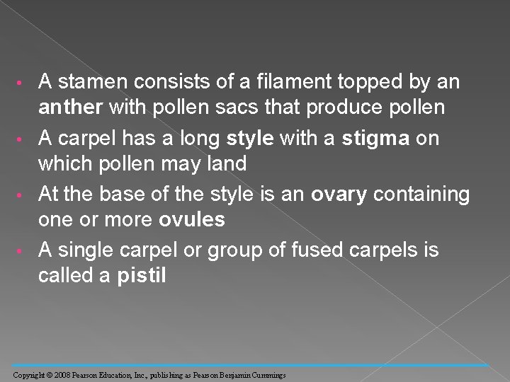 A stamen consists of a filament topped by an anther with pollen sacs that