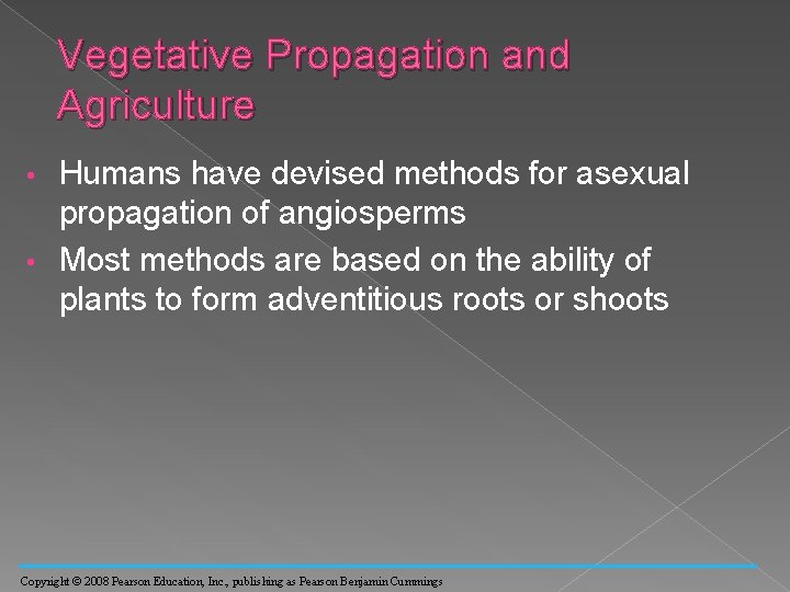 Vegetative Propagation and Agriculture Humans have devised methods for asexual propagation of angiosperms •