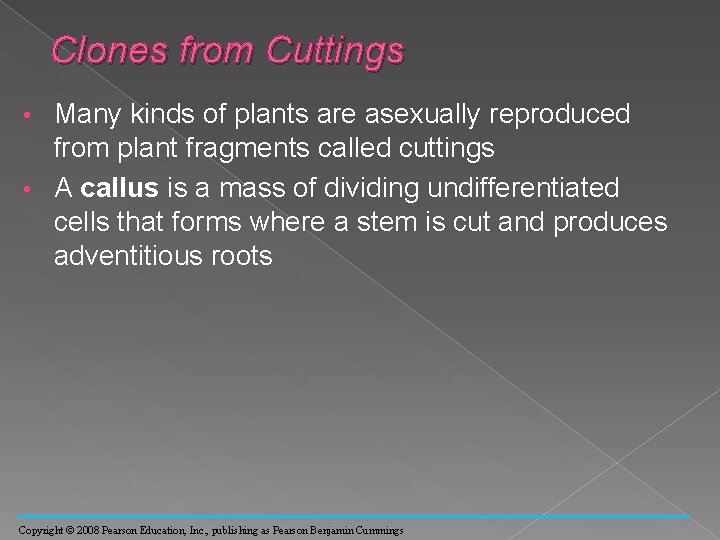 Clones from Cuttings Many kinds of plants are asexually reproduced from plant fragments called