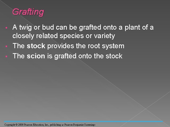 Grafting A twig or bud can be grafted onto a plant of a closely