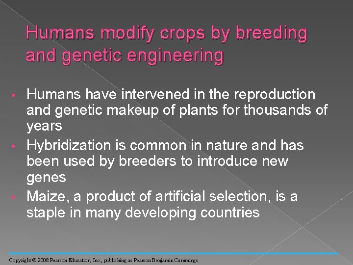 Humans modify crops by breeding and genetic engineering Humans have intervened in the reproduction