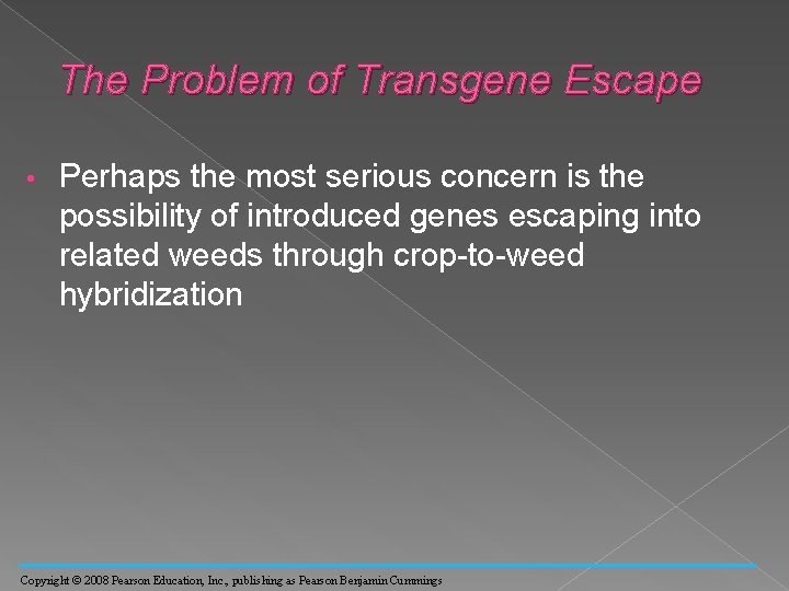 The Problem of Transgene Escape • Perhaps the most serious concern is the possibility