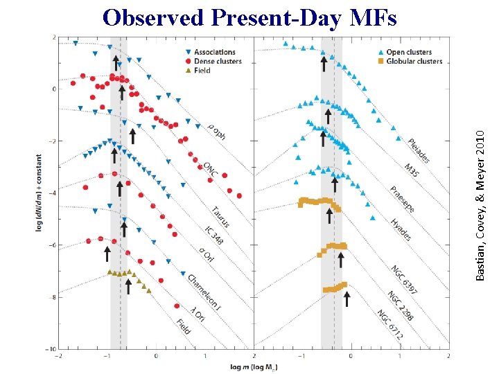 Bastian, Covey, & Meyer 2010 Observed Present-Day MFs 