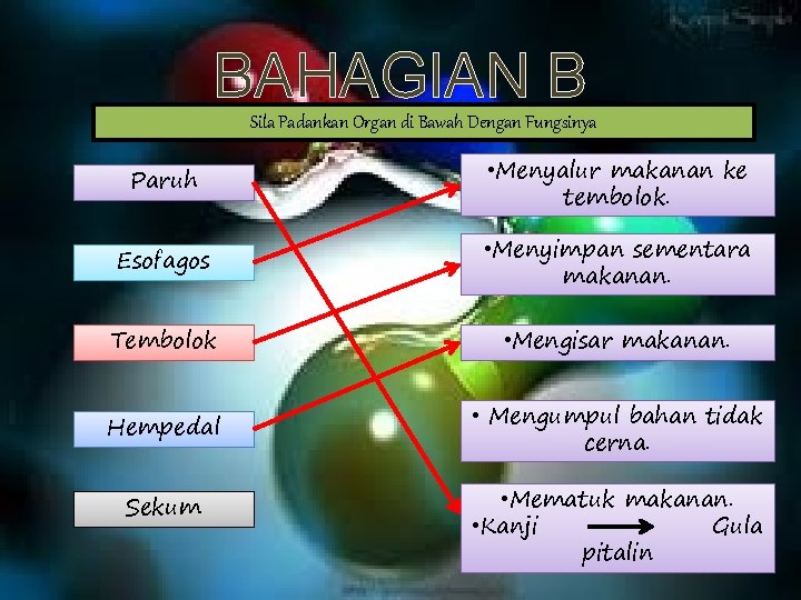 BAHAGIAN B Sila Padankan Organ di Bawah Dengan Fungsinya Paruh • Menyalur makanan ke