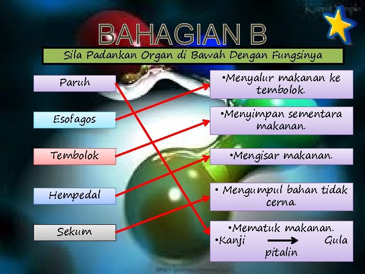 BAHAGIAN B Sila Padankan Organ di Bawah Dengan Fungsinya Paruh • Menyalur makanan ke