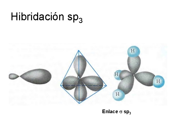 Hibridación sp 3 Enlace sp 3 