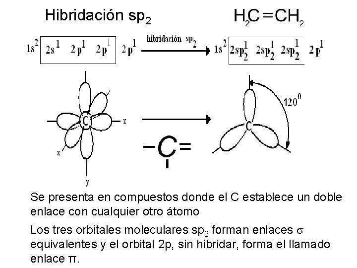 Hibridación sp 2 Se presenta en compuestos donde el C establece un doble enlace