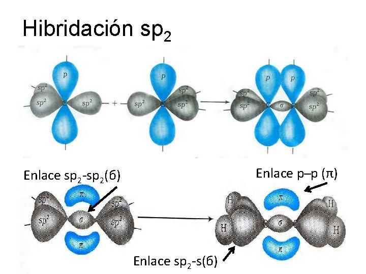 Hibridación sp 2 Enlace p p (π) Enlace sp 2 -sp 2(б) Enlace sp