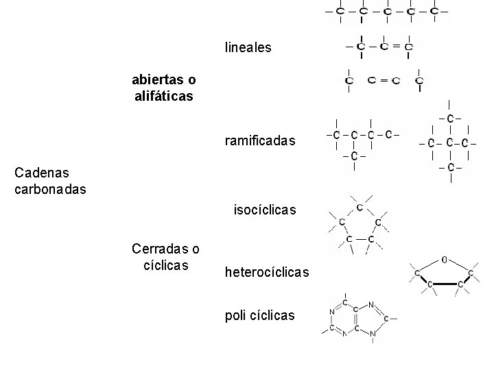 lineales abiertas o alifáticas ramificadas Cadenas carbonadas isocíclicas Cerradas o cíclicas heterocíclicas poli cíclicas