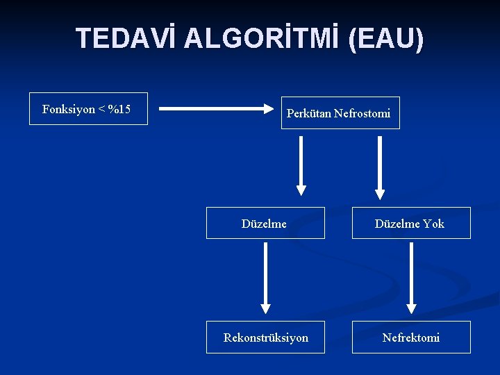 TEDAVİ ALGORİTMİ (EAU) Fonksiyon < %15 Perkütan Nefrostomi Düzelme Yok Rekonstrüksiyon Nefrektomi 