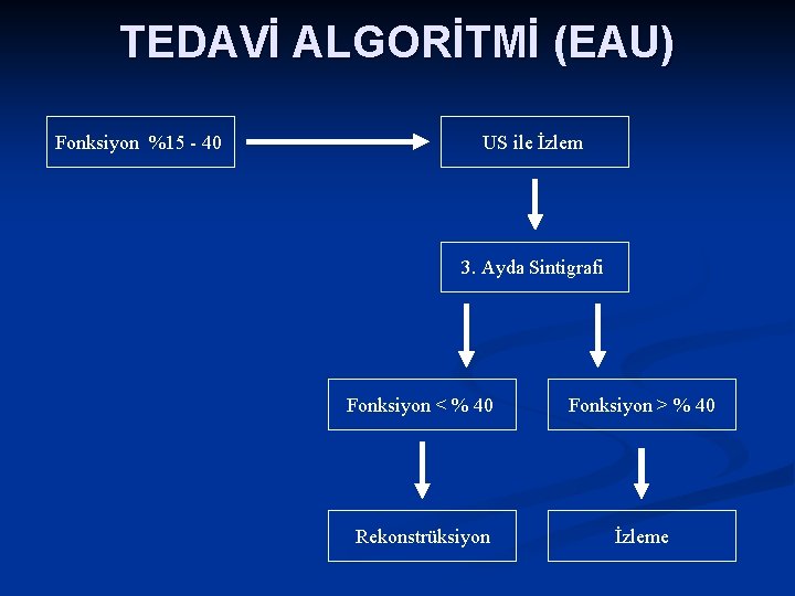 TEDAVİ ALGORİTMİ (EAU) Fonksiyon %15 - 40 US ile İzlem 3. Ayda Sintigrafi Fonksiyon