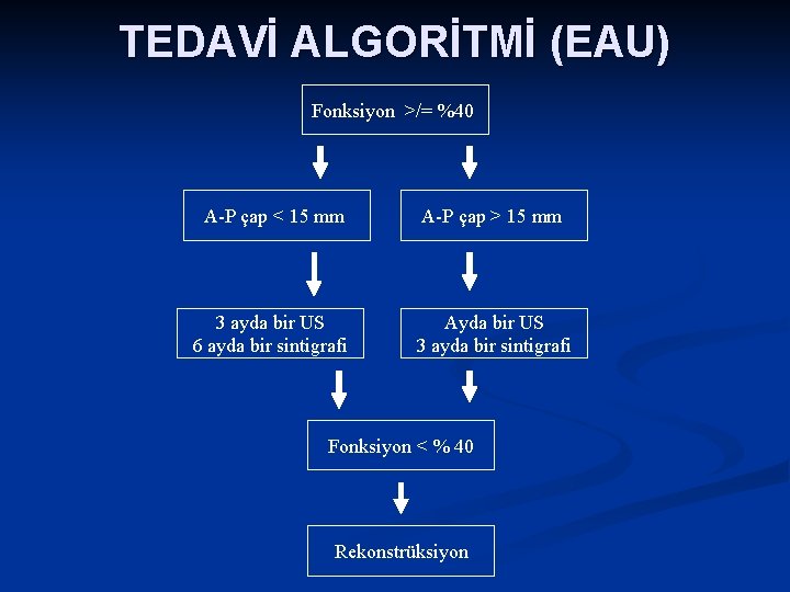 TEDAVİ ALGORİTMİ (EAU) Fonksiyon >/= %40 A-P çap < 15 mm A-P çap >