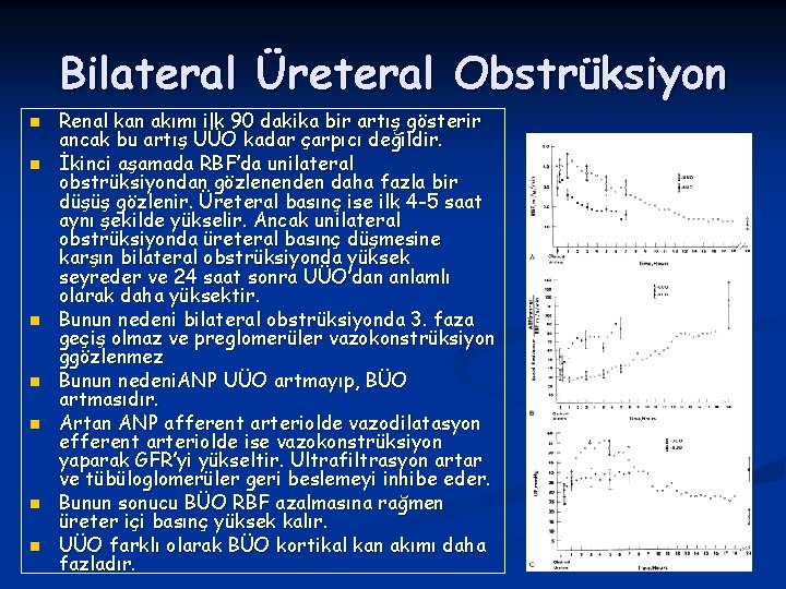 Bilateral Üreteral Obstrüksiyon n n n Renal kan akımı ilk 90 dakika bir artış