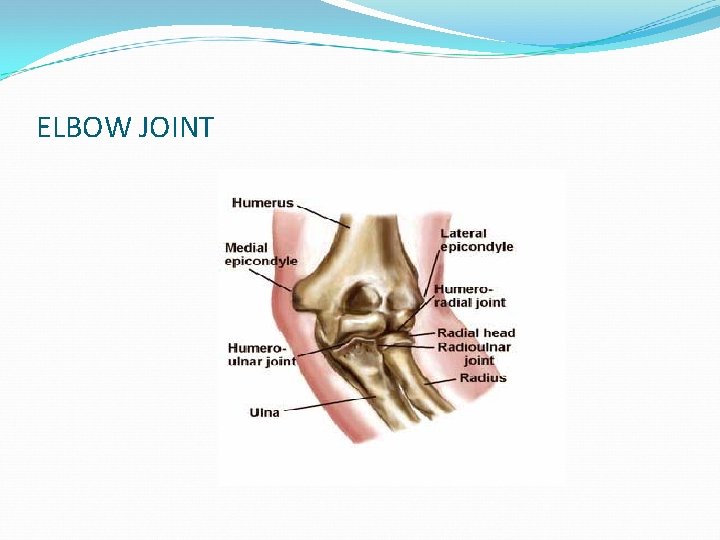 ELBOW JOINT 