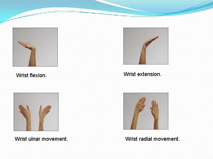 Wrist flexion. Wrist ulnar movement. Wrist extension. Wrist radial movement. 