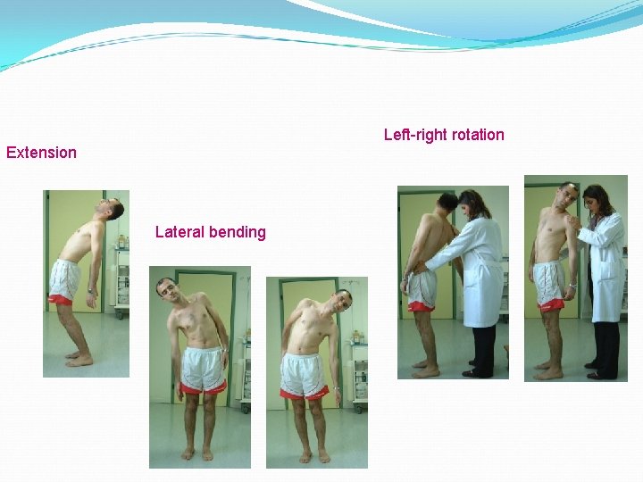 Left-right rotation Extension Lateral bending 