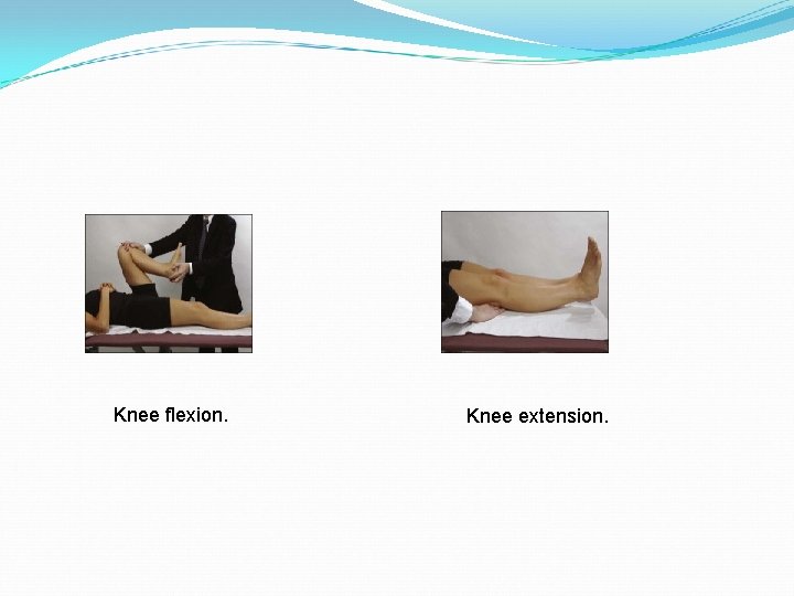 Knee flexion. Knee extension. 