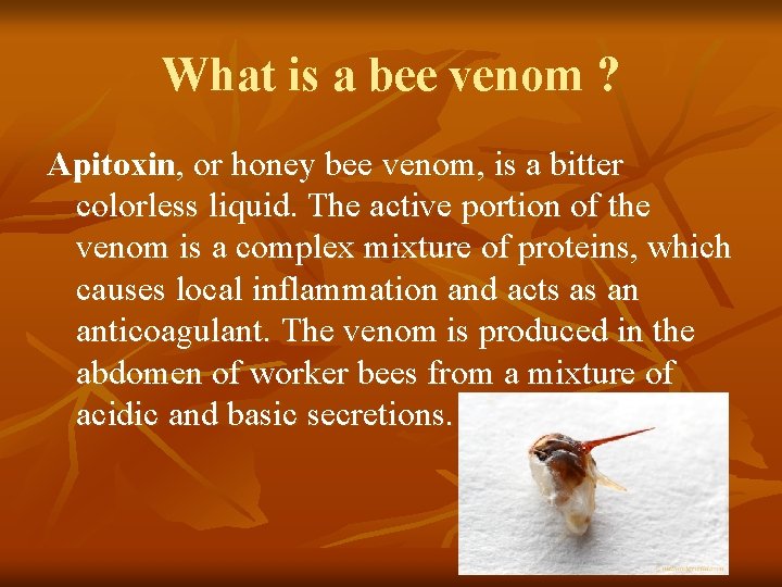 What is a bee venom ? Apitoxin, or honey bee venom, is a bitter