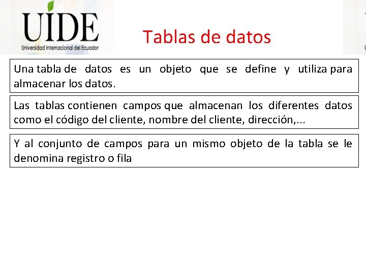 Tablas de datos Una tabla de datos es un objeto que se define y