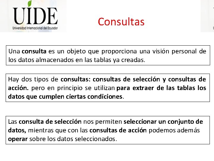 Consultas Una consulta es un objeto que proporciona una visión personal de los datos