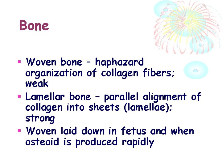 Bone Woven bone – haphazard organization of collagen fibers; weak Lamellar bone – parallel