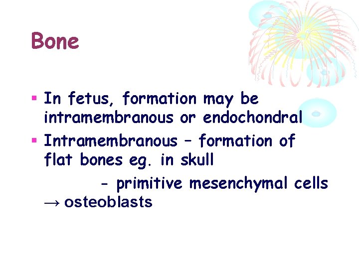 Bone In fetus, formation may be intramembranous or endochondral Intramembranous – formation of flat