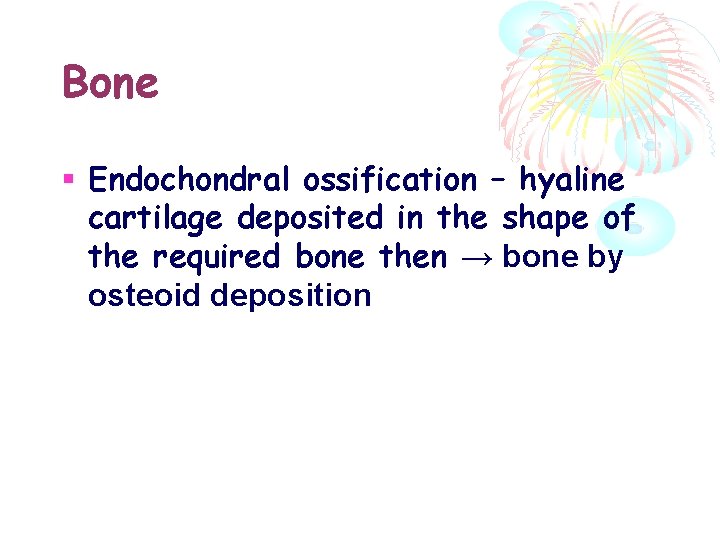 Bone Endochondral ossification – hyaline cartilage deposited in the shape of the required bone