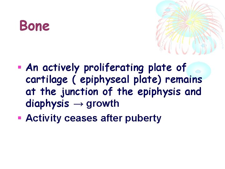 Bone An actively proliferating plate of cartilage ( epiphyseal plate) remains at the junction