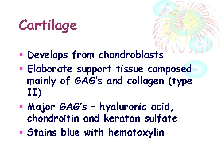 Cartilage Develops from chondroblasts Elaborate support tissue composed mainly of GAG’s and collagen (type