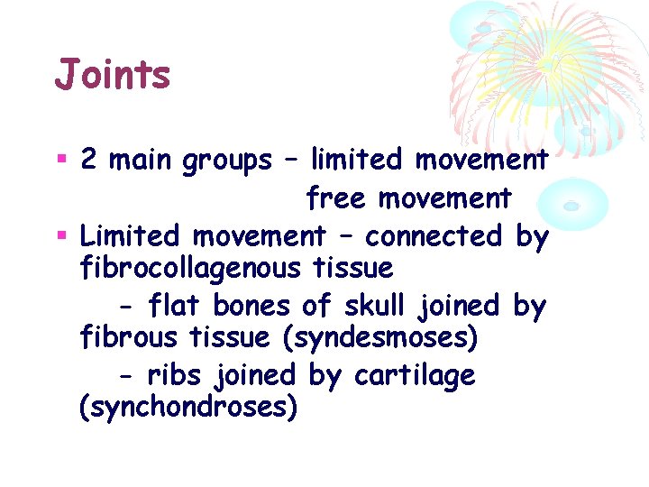 Joints 2 main groups – limited movement free movement Limited movement – connected by