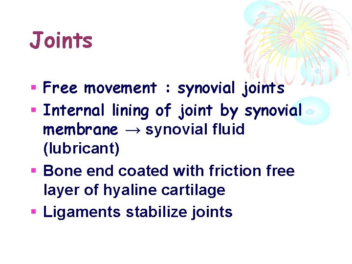 Joints Free movement : synovial joints Internal lining of joint by synovial membrane →