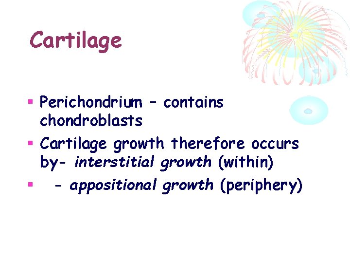 Cartilage Perichondrium – contains chondroblasts Cartilage growth therefore occurs by- interstitial growth (within) -