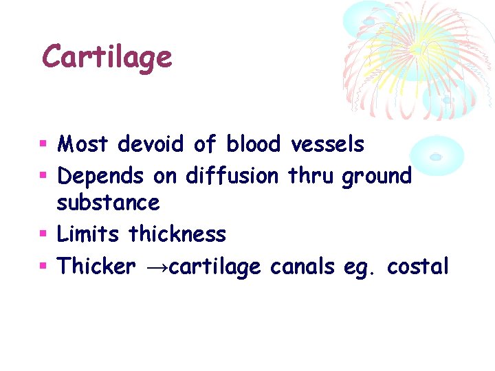 Cartilage Most devoid of blood vessels Depends on diffusion thru ground substance Limits thickness