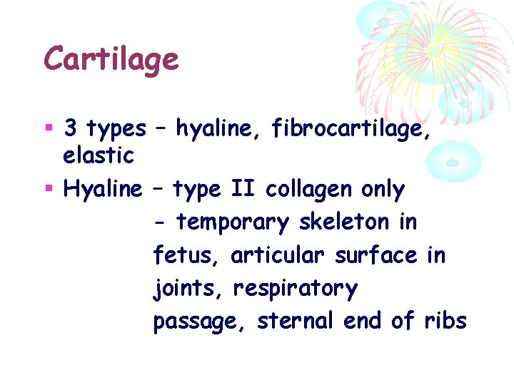 Cartilage 3 types – hyaline, fibrocartilage, elastic Hyaline – type II collagen only -